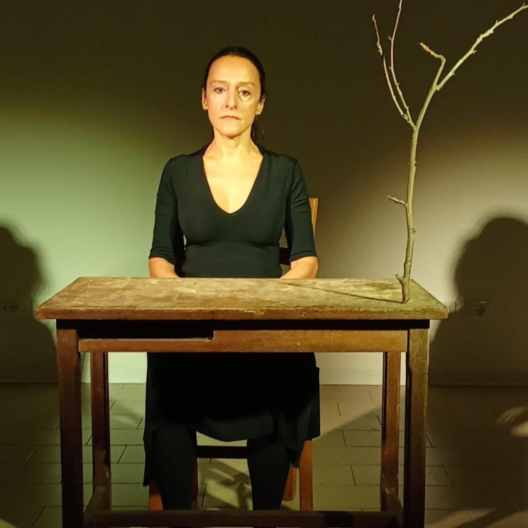 L’albero dei bottoni