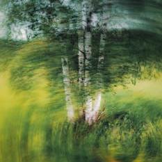Daydreams, mostra fotografica di Mirta Lispi