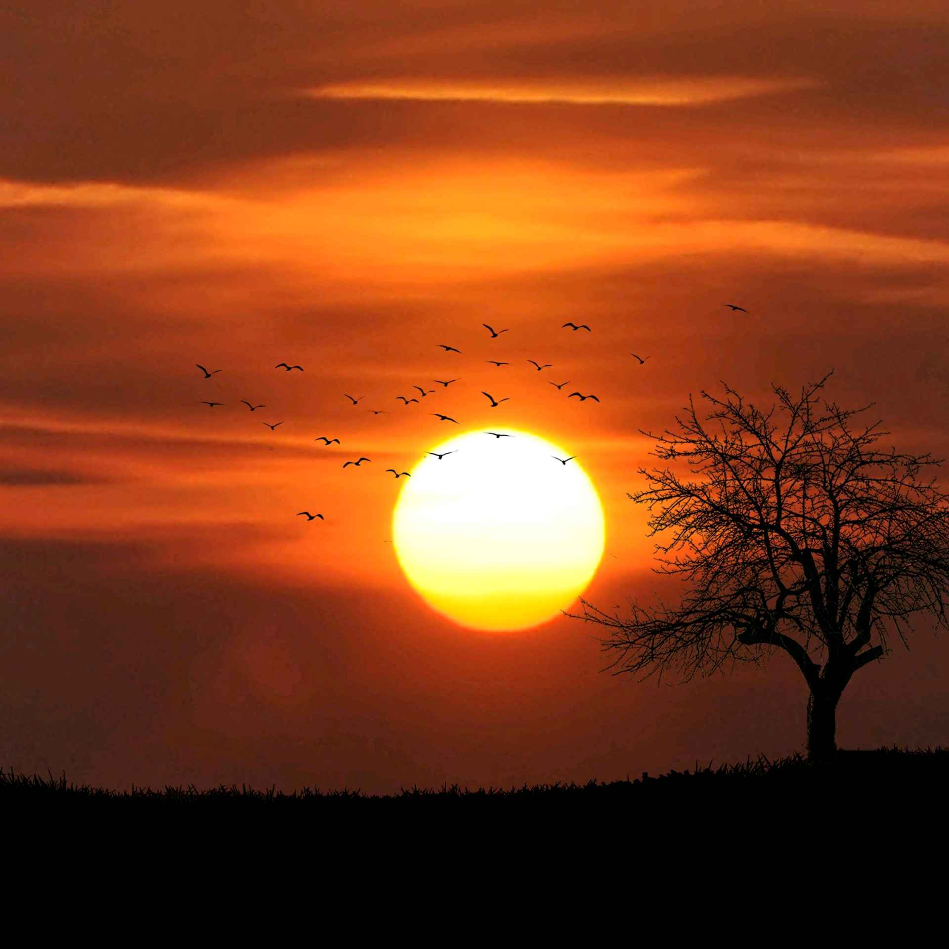 I Tramonti di Tinia, 23 Giugno 2024