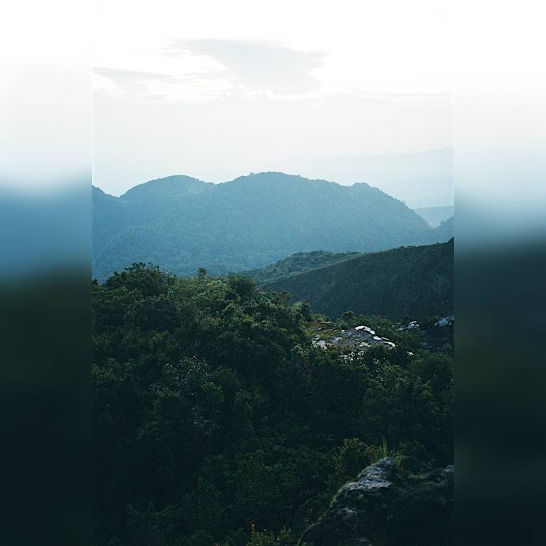 Plantation Architectures DAY THREE