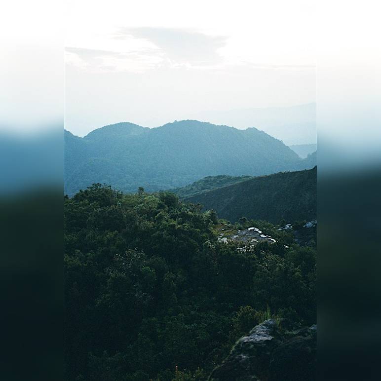 Plantation Architectures DAY ONE