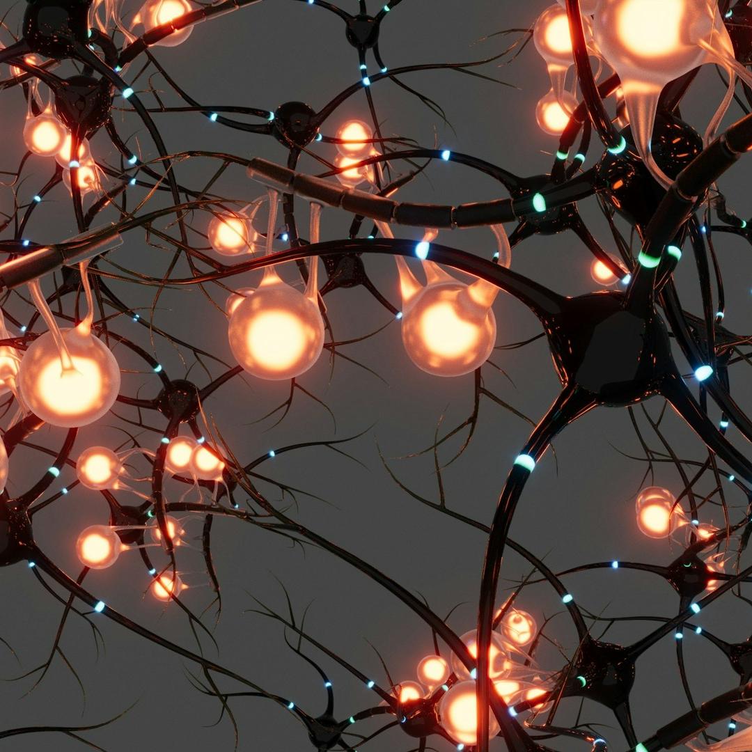 Perché il cervello ci inganna (e fa bene)