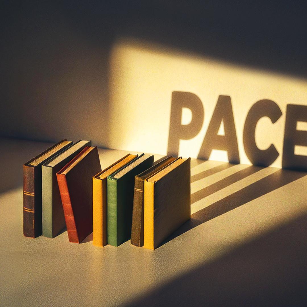 Nicola Lagioia, David Bidussa, Elena Stancanelli – "Profezie bianche. Antologia del pacifismo: da E. da Rotterdam a Gino Strada" 
