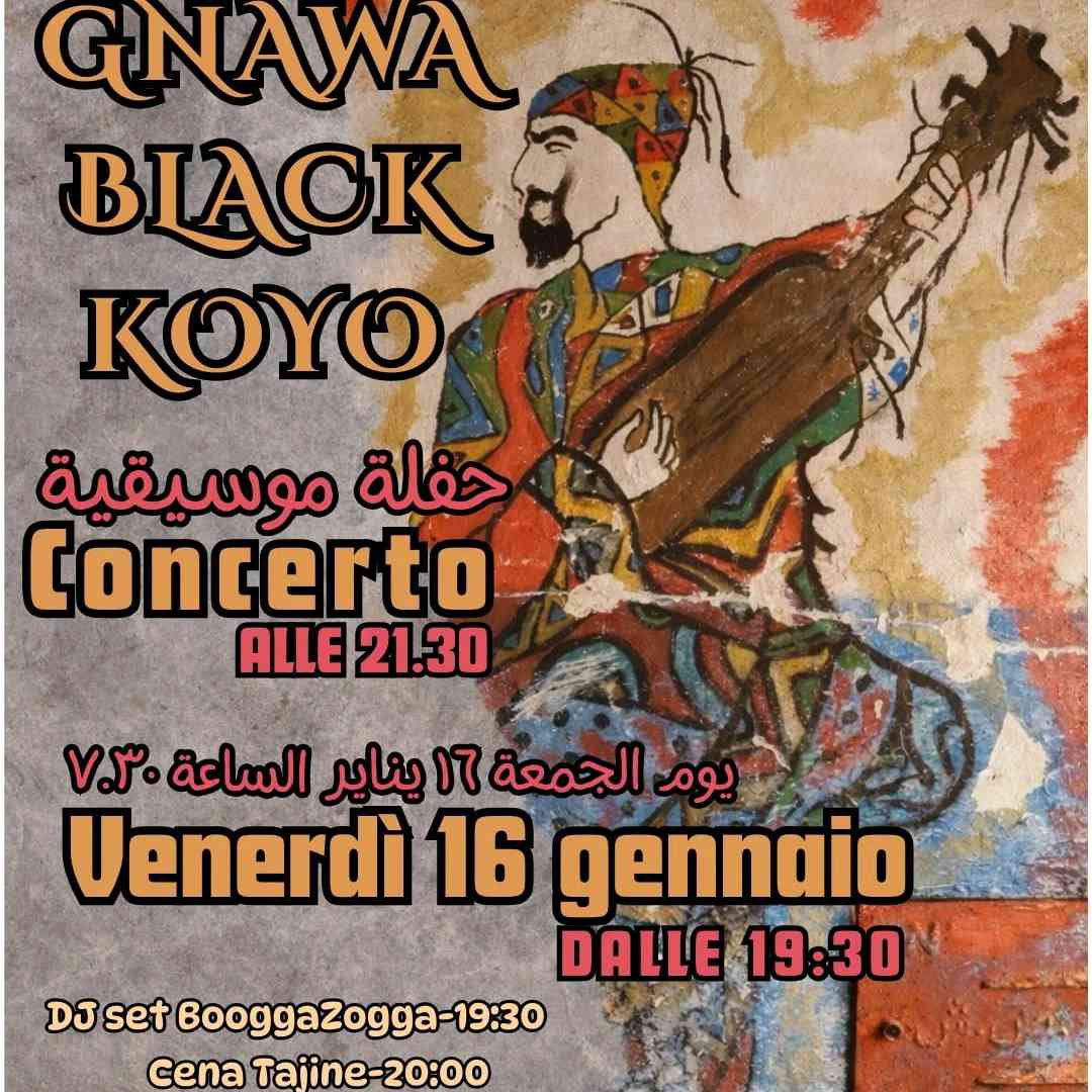 Gnawa Black Koyo