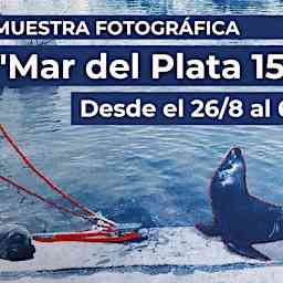 Mar del Plata150