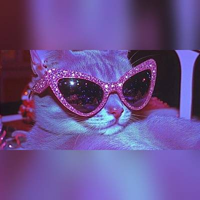 STYLED BY YOU* con FEDERICA CUNSOLO