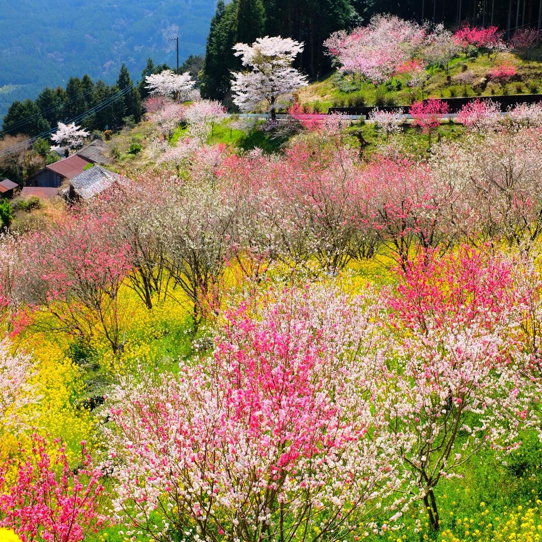 Mostra di Cecilia Valli al Casale dei Cedrati