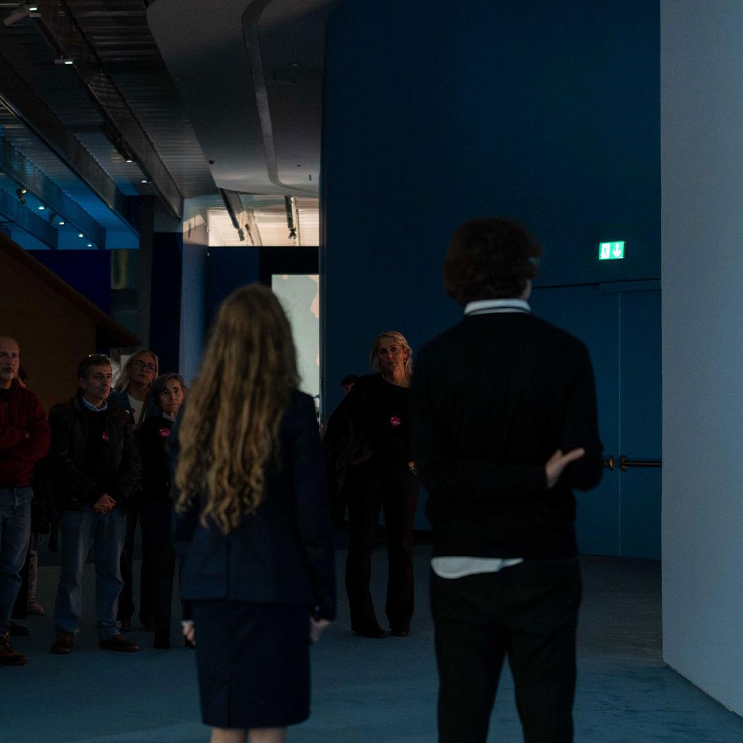 The Large Glass: visioni plurali