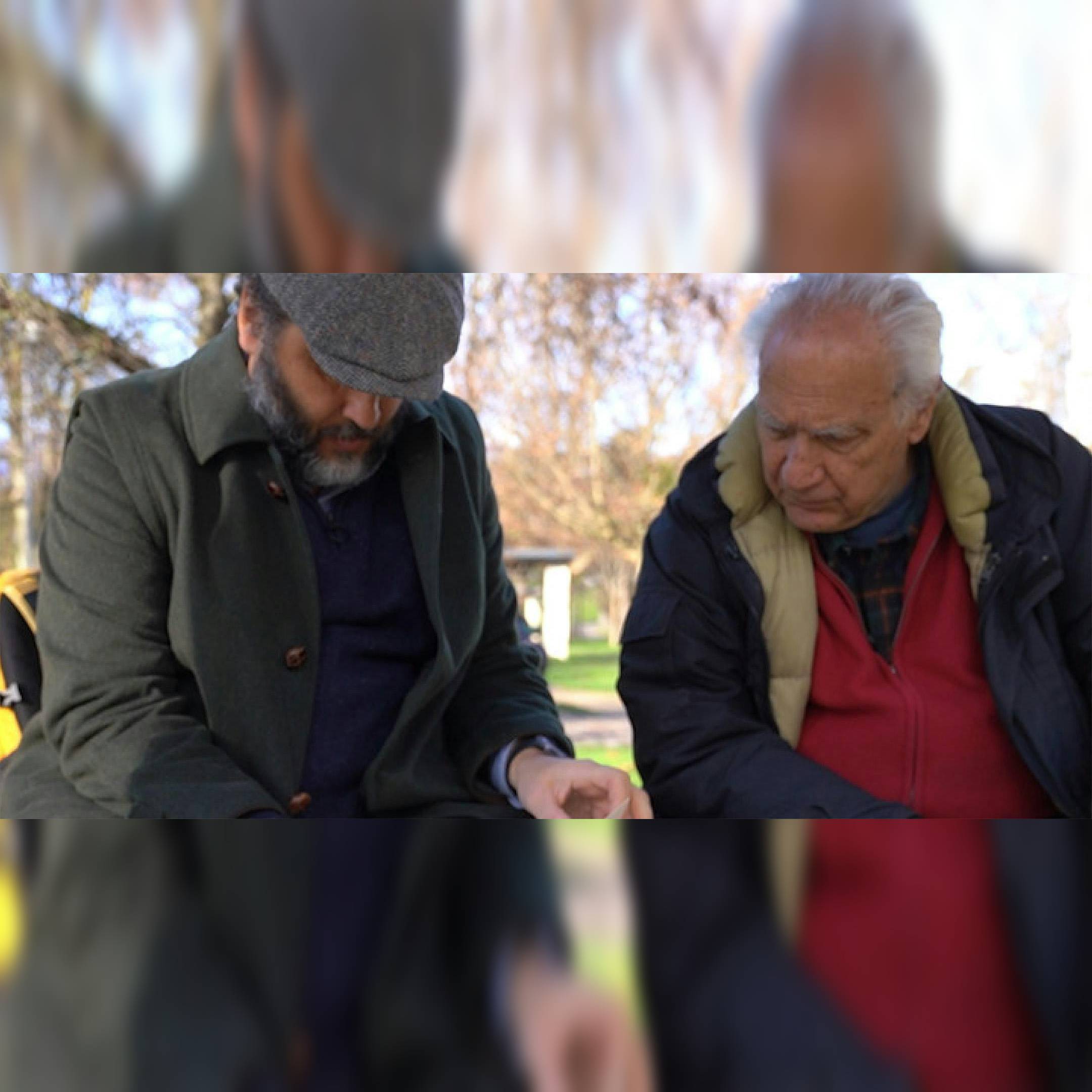 ROBERTO PERPIGNANI - L’EMOZIONE DEI TAGLI IMPROPRI