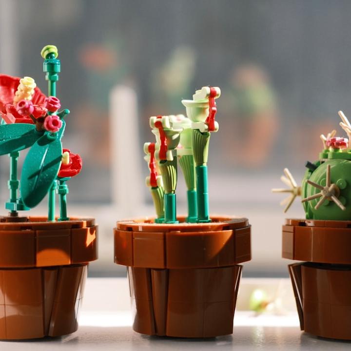 Lego Botanicals, l'evento di San Valentino a Porta di Roma