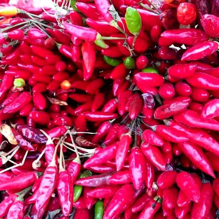 HOTtobre Piccante il Peperoncino Festival di Roma 
