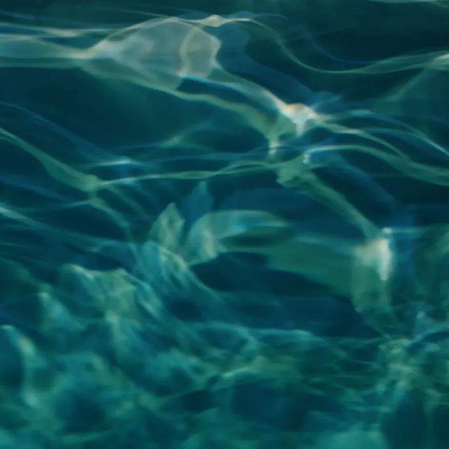 La forma dell’acqua