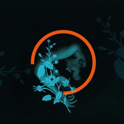 ORBITA | Spellbound. Scintille. La parte è il tutto - La stagione danza 2026