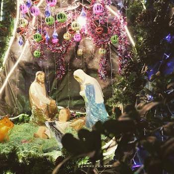 100 Presepi in Vaticano