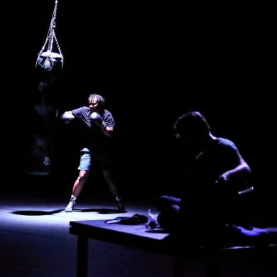 JOSS TURNBULL - WE IN A BOX