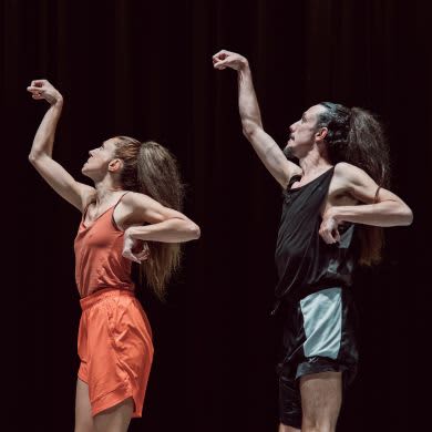 ANDREA COSTANZO MARTINI/ZEBRA- PAS DE CHEVAL + WHAT HAPPENED IN TORINO