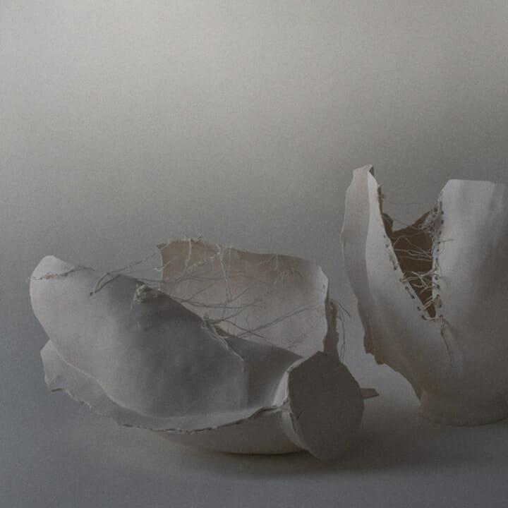 Iris Nesher. The Fault Line