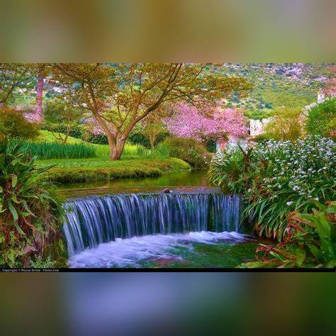 Oasi di Ninfa, un'esplosione di colore!