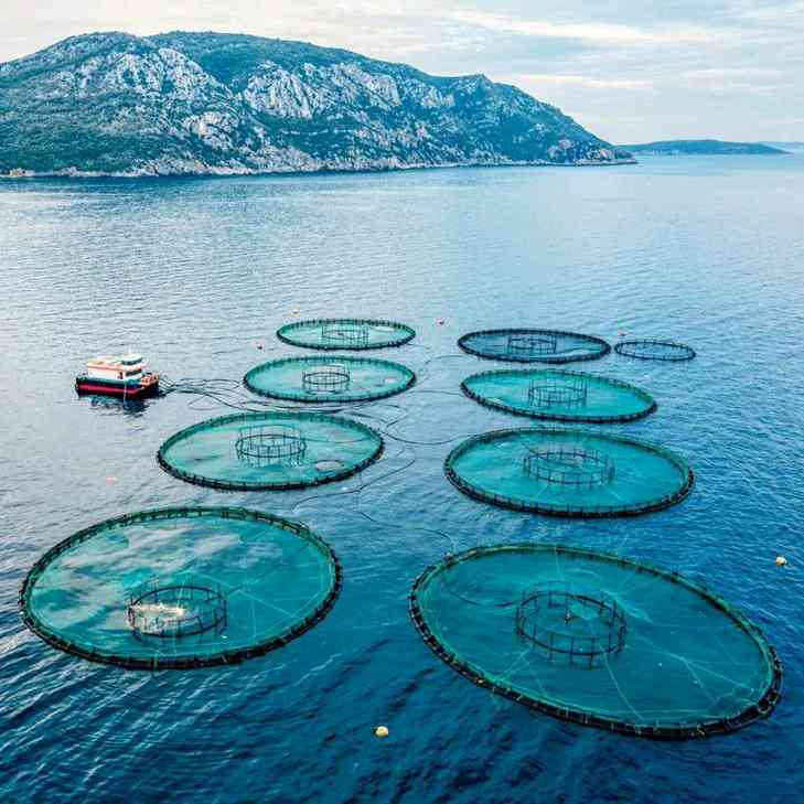 Quinta Edizione della World Aquaculture and Fisheries Conference