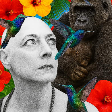 TUTTO E' BENE QUEL CHE FINISCE