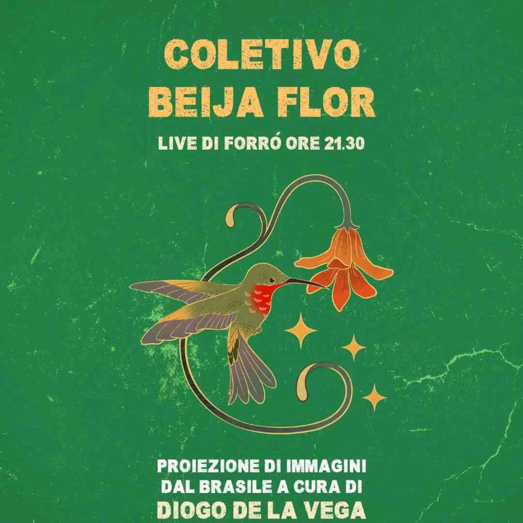 Coletivo Beija Flor live