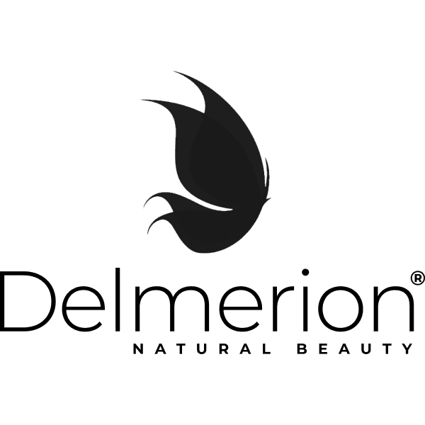 2-7-Delmerion-logo-black.png