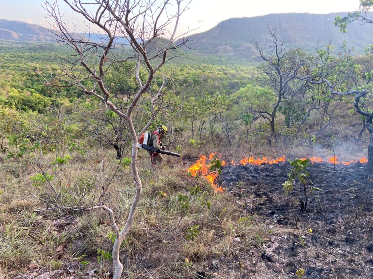 Raios provocam incêndio e atingem 60 hectares na Chapada dos Veadeiros 