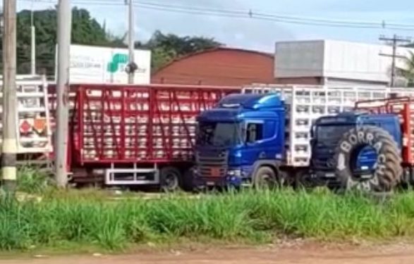 APÓS UMA SEMANA COM FALTA DO GÁS DE COZINHA, REGIÃO DE ESTREITO SERÁ REABASTECIDA