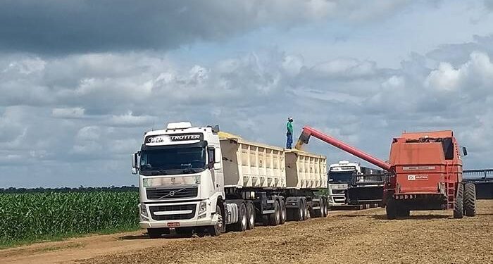 MESMO COM AS FORTES CHUVAS NO MARANHÃO BALSAS SEGUE EM DESTAQUE NA COLHEITA DE SOJA NO BRASIL