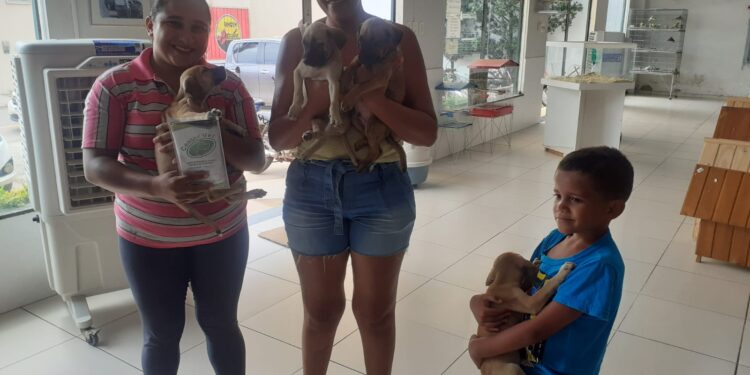 FILHOTES QUE FORAM ABANDONADOS SÃO ADOTADOS, EM BACABAL