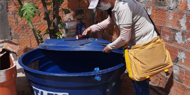 Casos de dengue, zika e chikungunya crescem mais 70% no Maranhão