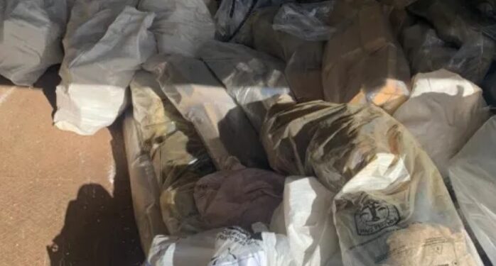 Polícia queima mais de uma tonelada de drogas em São Luís