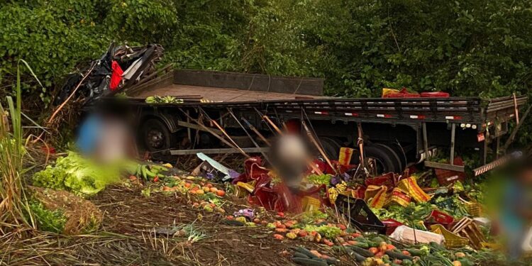 Caminhão de verdura tomba e tem carga saqueada na BR-316