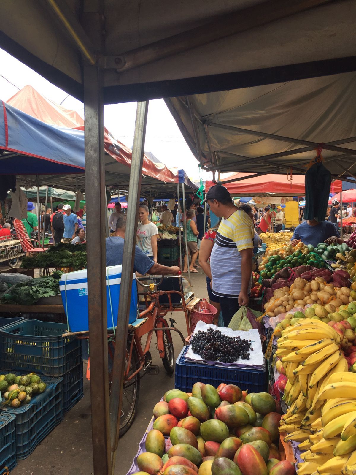 Agricultura familiar cresce no Maranhão