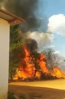 Três homens perdem a vida carbonizados após atear fogo para “limpar” pasto