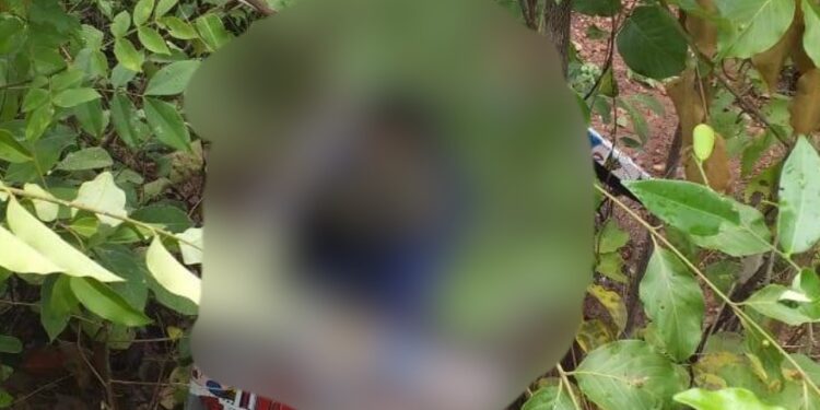 Polícia prende mulher suspeita de matar avó e embrulhar em saco de presente