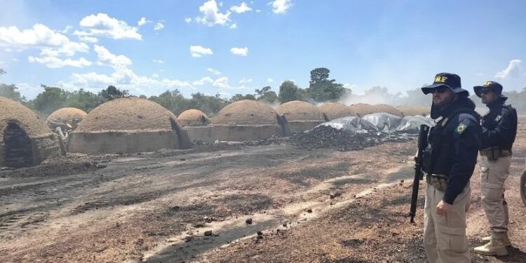 Trabalhadores são resgatados de condições análogas à escravidão no MA