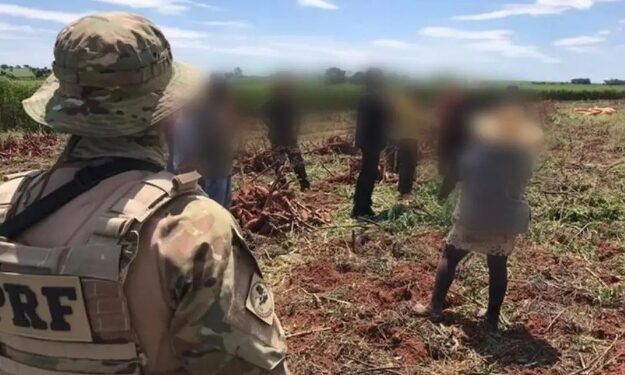 Trabalho análogo a escravidão; maioria dos resgatados no Brasil são maranhenses