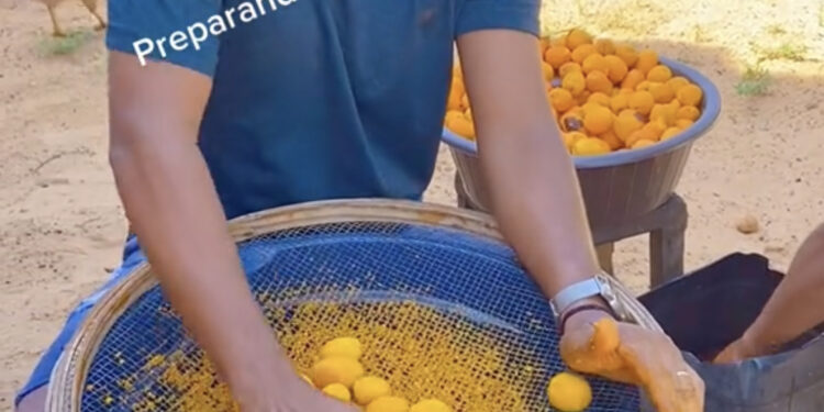 Homem viraliza nas redes sociais preparando doce de buriti