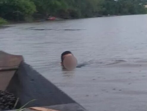 Suspeito de espiar vizinha e furtar calcinhas é preso tentando fugir a nado no MA