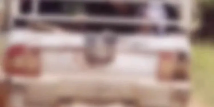 Alunos pegam caronas com veículos que transportam animais por falta de ônibus escolar no MA