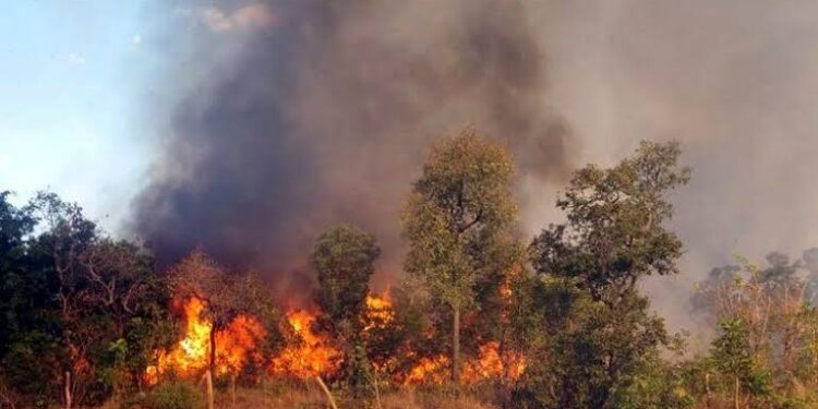 Quase 2 mil focos incêndios são registrados no Maranhão em 2023