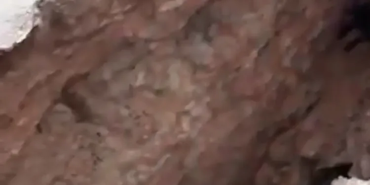 Cachorro é resgatado por bombeiros após cair em buraco de obra em Bacabal