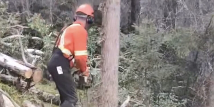 Corpo de Bombeiros do Maranhão auxilia em combate a incêndios no Canadá