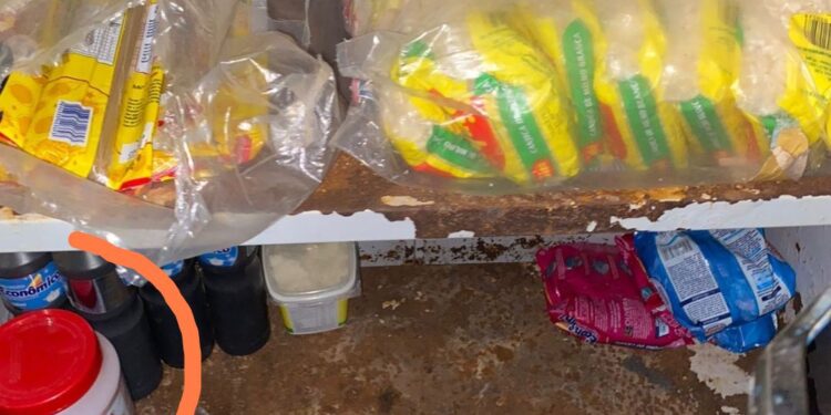 Merenda é guardada em armários enferrujados junto com materiais de limpeza em escola no MA