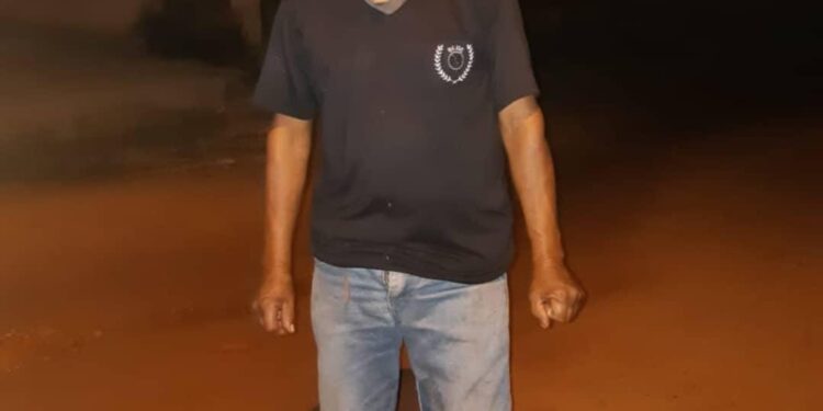 Identificado homem vítima de atropelamento na BR-010