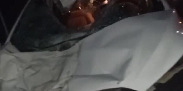 Animal solto causa acidente em estrada entre Sítio Novo e Amarante