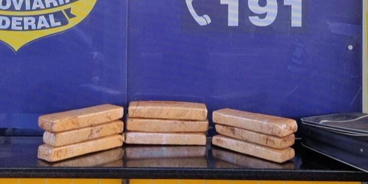 Mulher é presa com 10kg de maconha durante fiscalização da PRF em São Luís