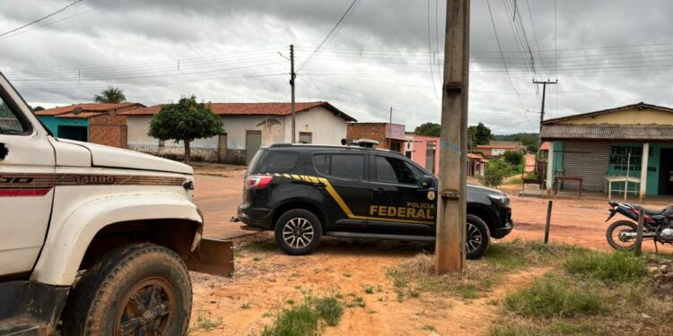 Operação da PF desarticula esquema de extração ilegal de madeira em terra indígena no MA