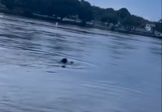 Tenente da PM salva mulher de afogamento em rio no MA